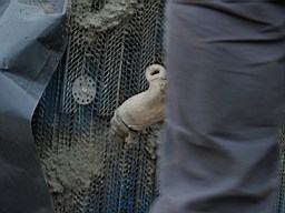 carrowcrory studio-4144.JPG